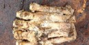 Boys Find Decomposing Foot in the Woods, A Very Big Foot