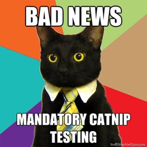 business_cat_drugtest