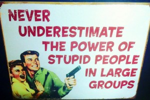 stupid people