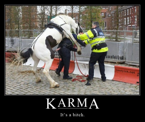 Karmas_A_Bitch