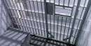 Convicted Domestic Terrorist Petitions for Drug Sentencing Reform