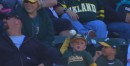 Cute Kid Alert: A’s Fan Catches Foul Ball and Then…